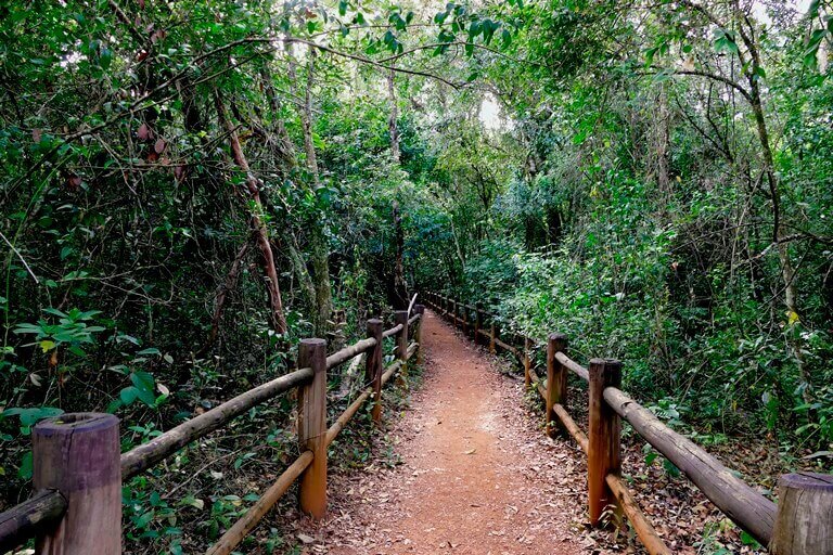 Trilhas e trekking próximos de Brasília